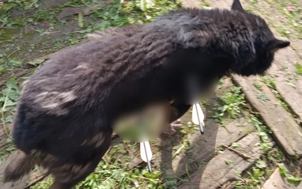 Без названия (8).png