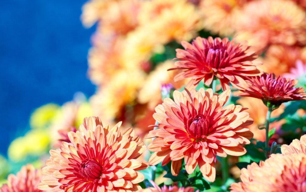 2PHtkhbTdAulcs04PcPYnDRbPnEekN-ha9K7JQZCvwcFP8bmLJfJeQWdAaWwcEAQwBvAUiD-NAWtuWqe5Tj8vDod (1).jpg