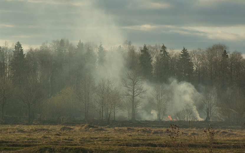 лесной-пожар-возгорание-лес.jpg