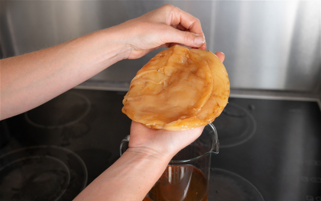 scooby-fungi-being-held-over-glass-container-2026-01-08-23-32-14-utc (1).jpg