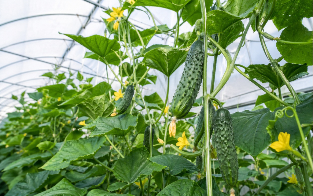 ChatGPT Image 27 апр. 2026 г., 13_37_40.jpg