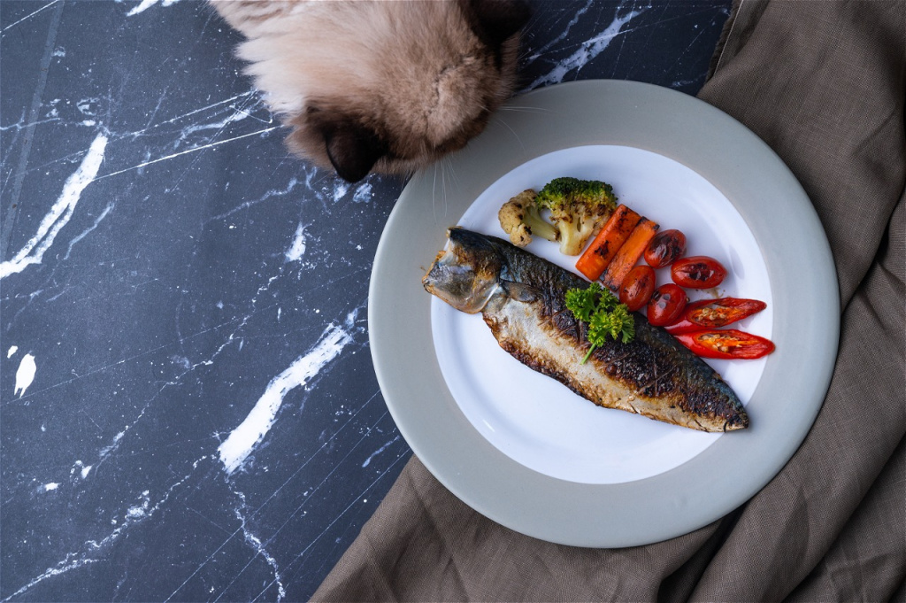 delicious-fish-dish-with-vegetables-on-plate-2026-03-24-23-07-43-utc.jpg