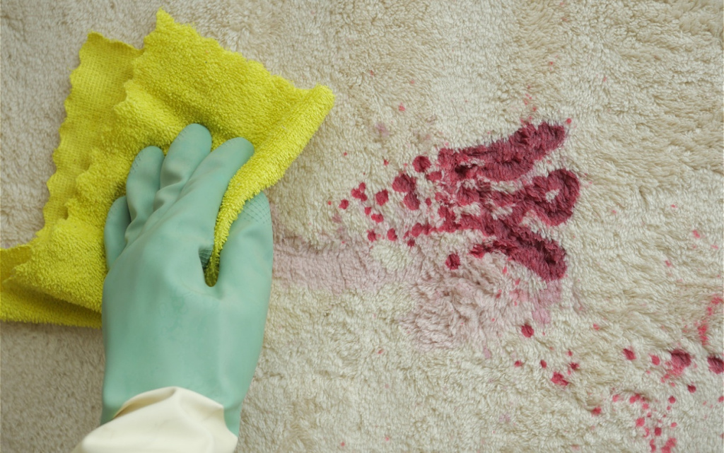 cleaning-stain-on-carpet-with-rag-and-glove-2026-01-08-18-29-04-utc (1).jpg