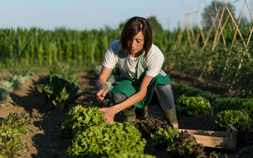 woman-working-in-her-vegetable-garden-2022-12-16-22-09-53-utc5.jpg