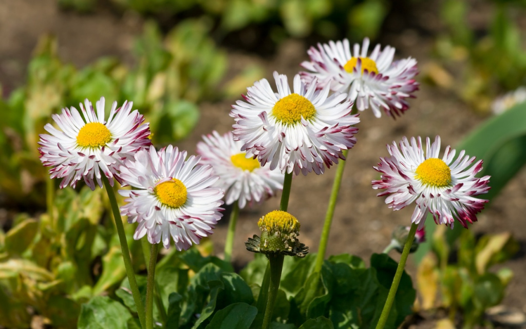 _inZYxWsHbLLwhzO8oTyGSCS8fOUVjsAWVI0AmrNdKrm1qkl2j5g8ybuUZnlPFIK4oMAXLCchWZScfO4JrAKt-bx (1).jpg