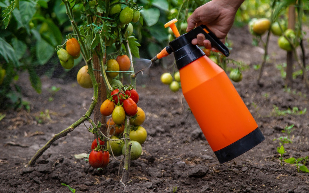 a-man-sprays-tomatoes-in-the-garden-selective-foc-2026-01-07-01-29-30-utc (1).jpg