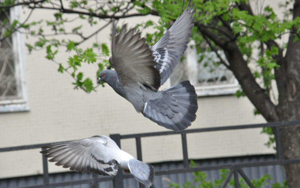 QmF9cHhjXXOtXjvK9kj5BoVGiCm9HHjNMf6t4HWzszaPgbT0aCvsq1M78NovCoZkYsEJDl_TlRxoYnFLGqr6A3kG (1).jpg