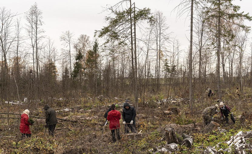 T2_planting_trees_1_.jpg