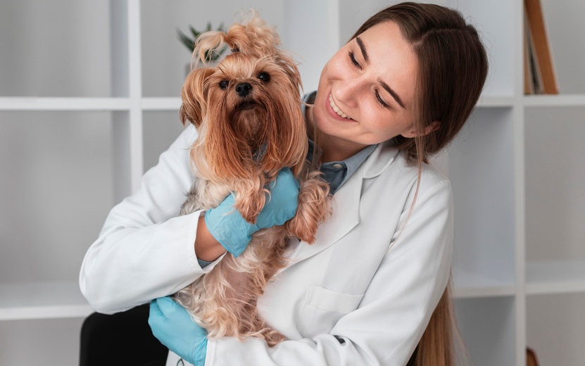 veterinarian-check-ing-puppy-s-health.jpg