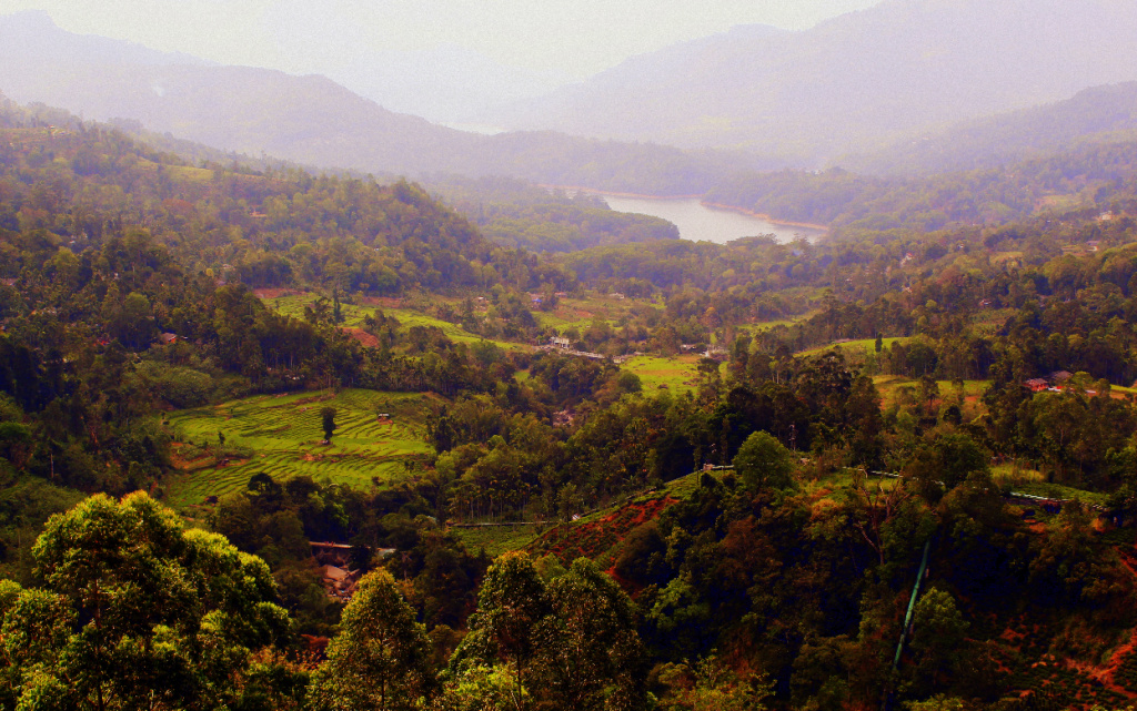 Beauty_in_Sri_Lankan_Up_Country (1).jpg