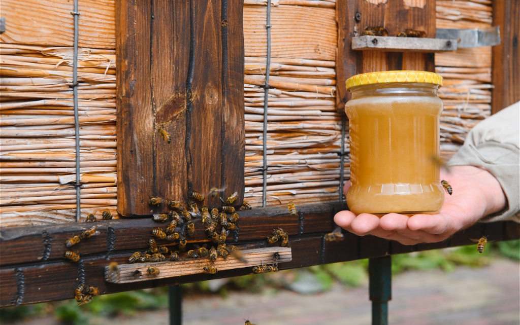 jar-of-fresh-honey-in-a-glass-jar-beekeeping-conc-2026-01-08-22-17-33-utc (1).jpg