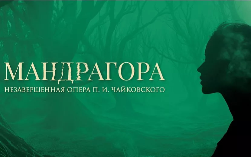 мандрагора.jpg