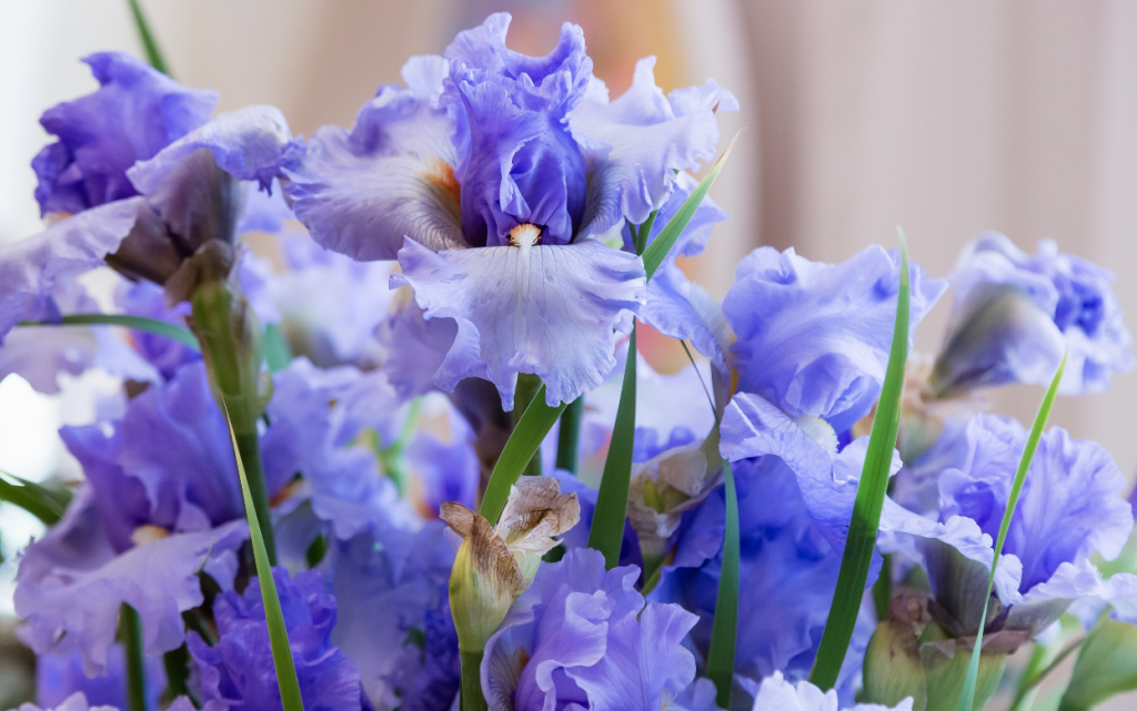 NBGdDq3y-2a1lzyO6PTE2MDJyrzaxh6azKCVyJ-8KyjQHF6CuxZ-N4Q7AYiRUyRZ8zNrTzw-fNSw6dFb3QuTgl8w (1).jpg