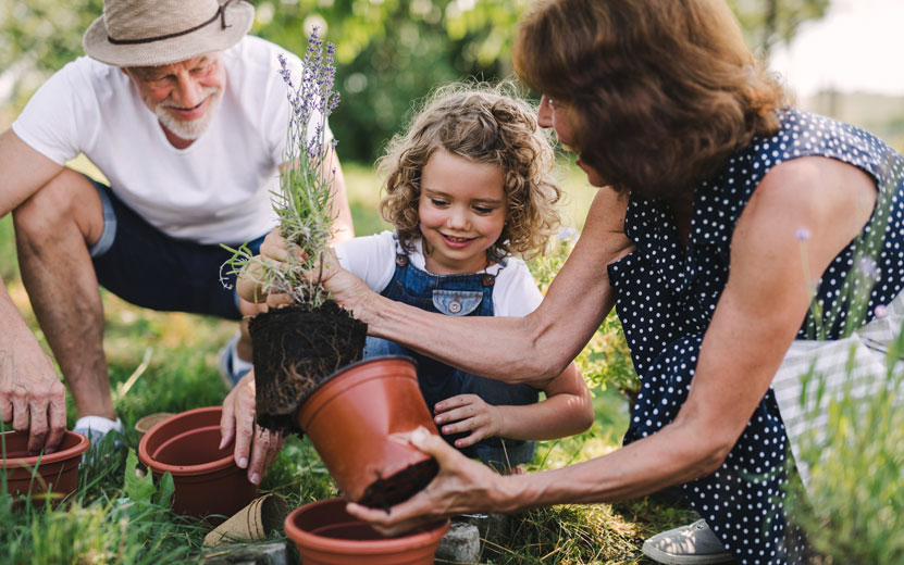 senior-grandparents-and-gra.jpg