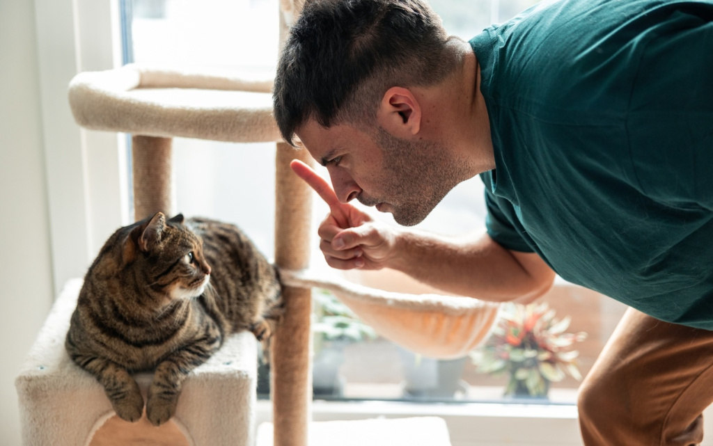 AAZdyjPhXTaaejoQsg_0wy5qmsWxPXWBA9xhEUBZKHfiTQ0iZOIc9p4PVMzv4gUjcvO1lJ73TFYbt6RiW8M54KTj (1).jpg