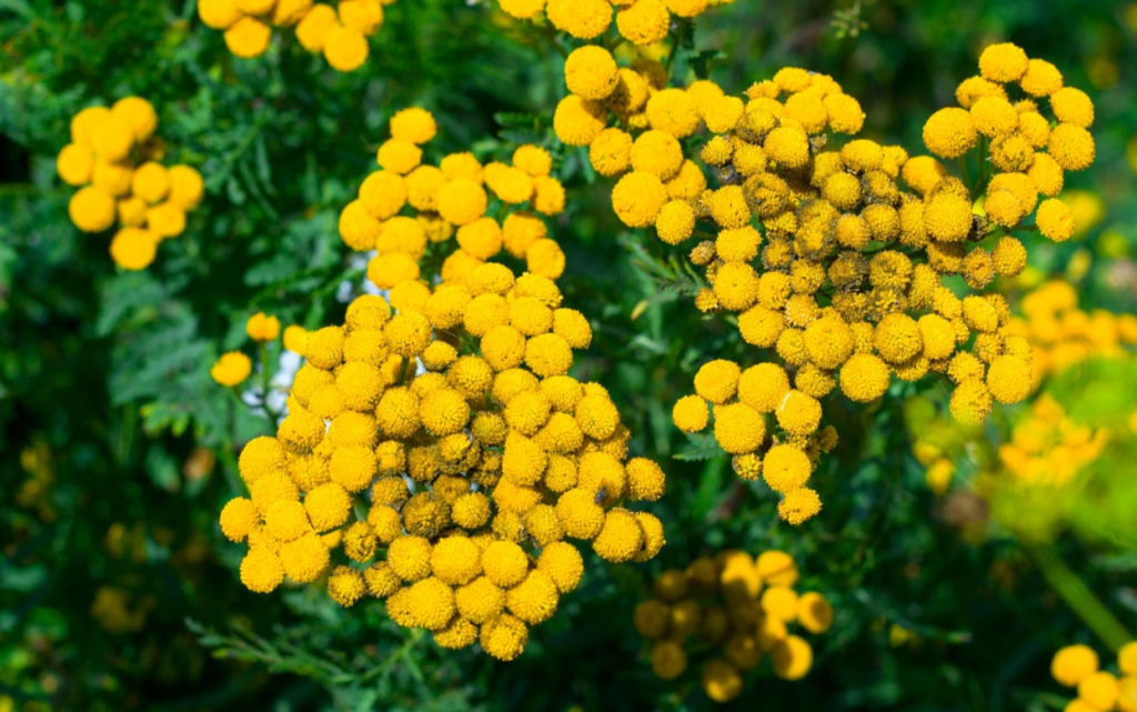 o9DzpLFY11NtH62Qsx2I-dPWK-yb8WT3Z7UGl3S3LBpE45G0jO3GhntF6T2dnPtrFRpTPRavy68xpm9ZZGBE56Vq (1).jpg