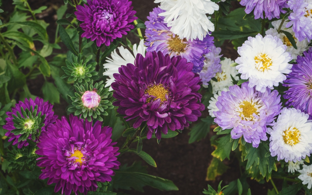 IzXE59ffPOvo-C_hUUrTtRor01etXOOqEPBR4sTNzaRvP-lfB8DpzsAHu5hCz_7ETGso8roHq04SeESS6FKGAHwS (1).jpg