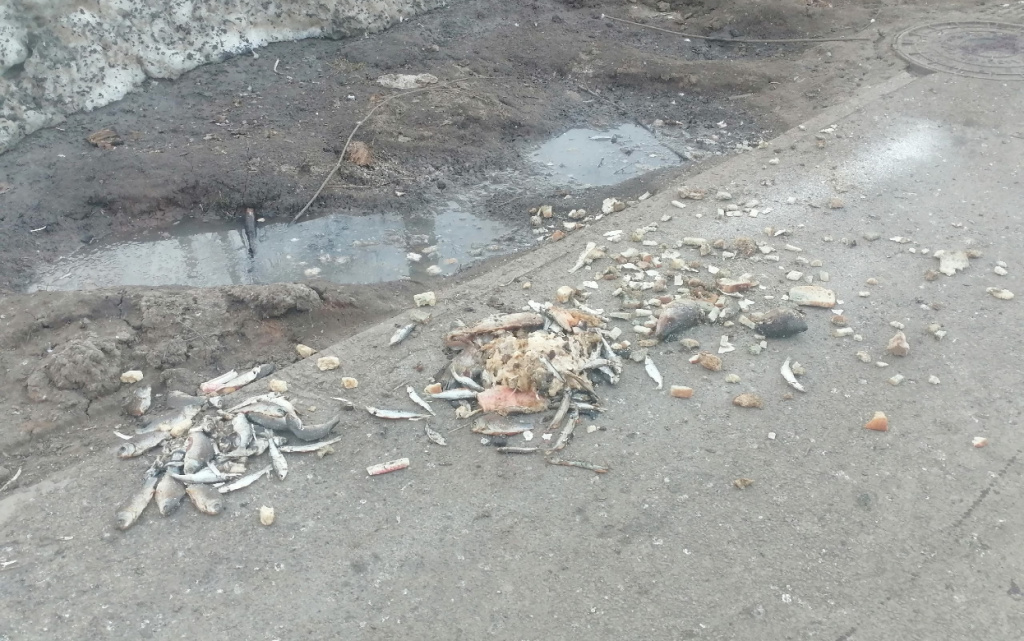 FSGAgR7-R7ooBtKTh3Y6p82zcoNHt_Uwgn9WkNZQ8WTn4lJghxS6ekYQ-MNfmnggtRndVdAeMRzhgeEfjX1baVQy (1).jpg