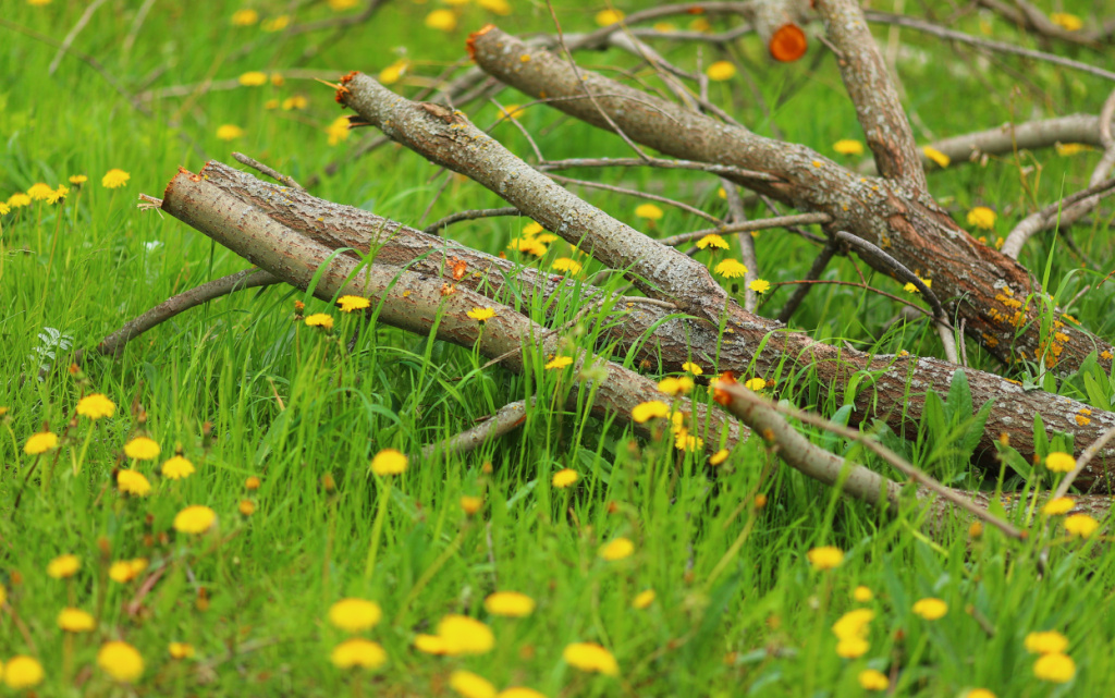 Мусор Закиров.JPG