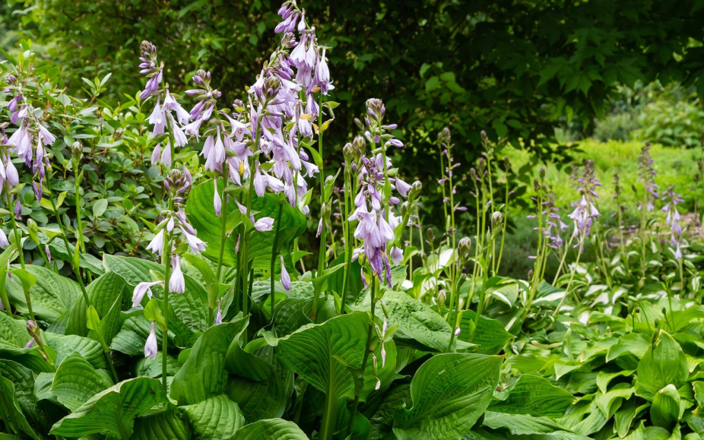 ccYduZXiaOXRgCOWSqoP_yVVFJ5MVdOBtLMH_Uao79dxMgODx5knp4eWUeaekZzogoCoT53jeh23CpGmDlDUJpZq (1).jpg