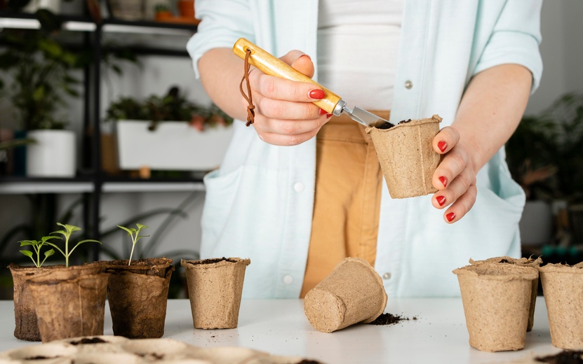 top-view-soil-plants (1).jpg