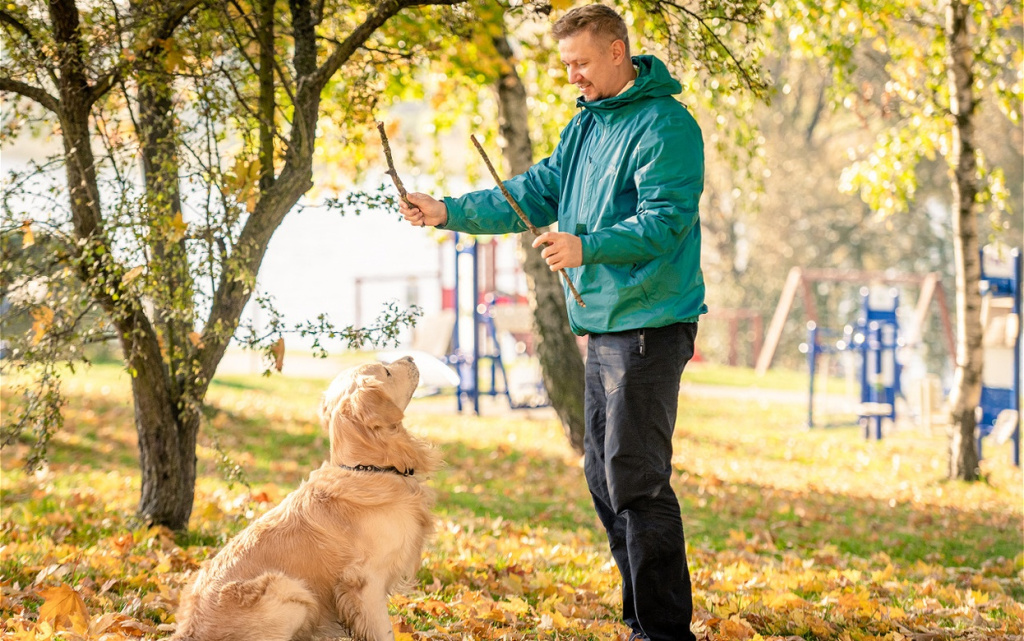man-and-dog-play-fetch-in-autumn-park-2026-09-24-12-27-31-utc (1).jpg