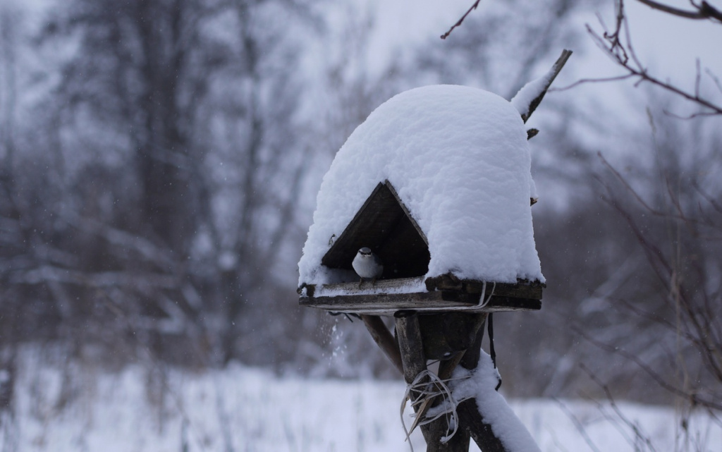 CXOzSsF-Pca74Ga3xKs9lJwEREEWwM5lItbnxQ9r3S5tGhaHQNExyoczZ10FRpWD4V-JTAY49ZxkjbLCQgB-n26y (1).jpg