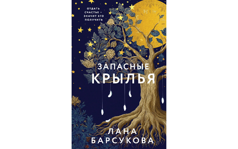 Запасные крылья.png
