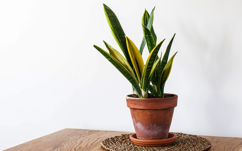 HhrDmgw-eGwdZKpAwfw9PDgvjPLYYWJjKz2W_WYwKfxPcmNelYkspF_P-GQ326HGc2lveaHNyZXvpHUDNUUs8owH (1).jpg