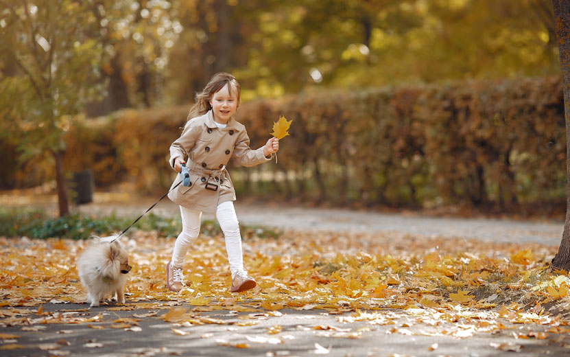 cute-little-girl-walks-autu.jpg