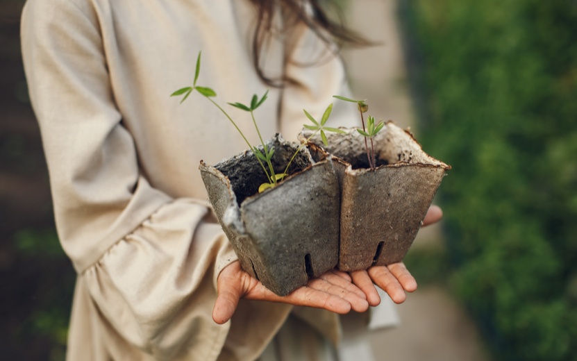 child-girl-holding-seedlings-ready-be-planted-ground-little-gardener-brown-dress (1).jpg