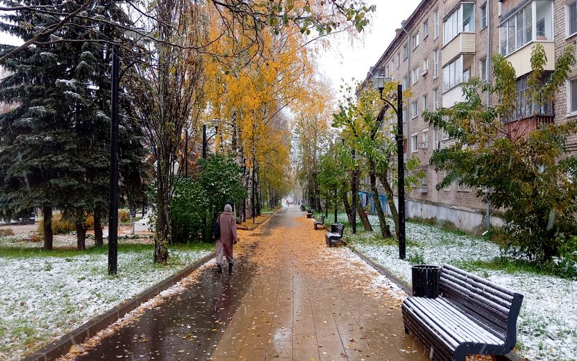 перв снег 2025 6.jpg