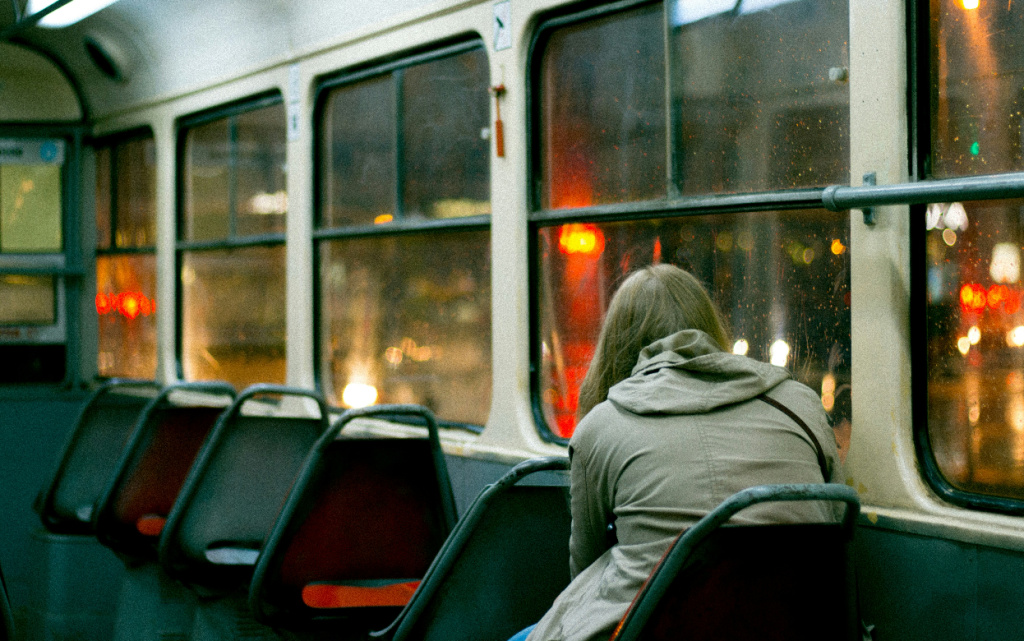 aleksey-malinovski-rIHGtTc4o4w-unsplash (1).jpg