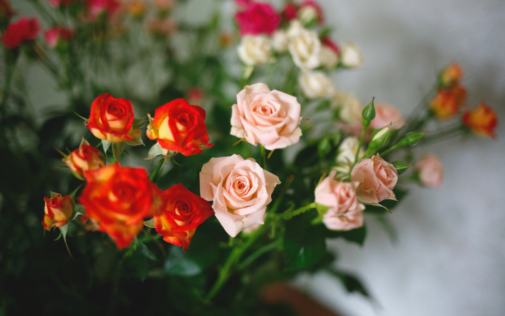 gauNnCfOMJDaegvg6XXY5JMwZvR7k0uwbBMhe5S3ebMq_4rkUANBd2IrCsAfoTL3wCi7XcirpyJSFdYsqINCYq0t (1).jpg