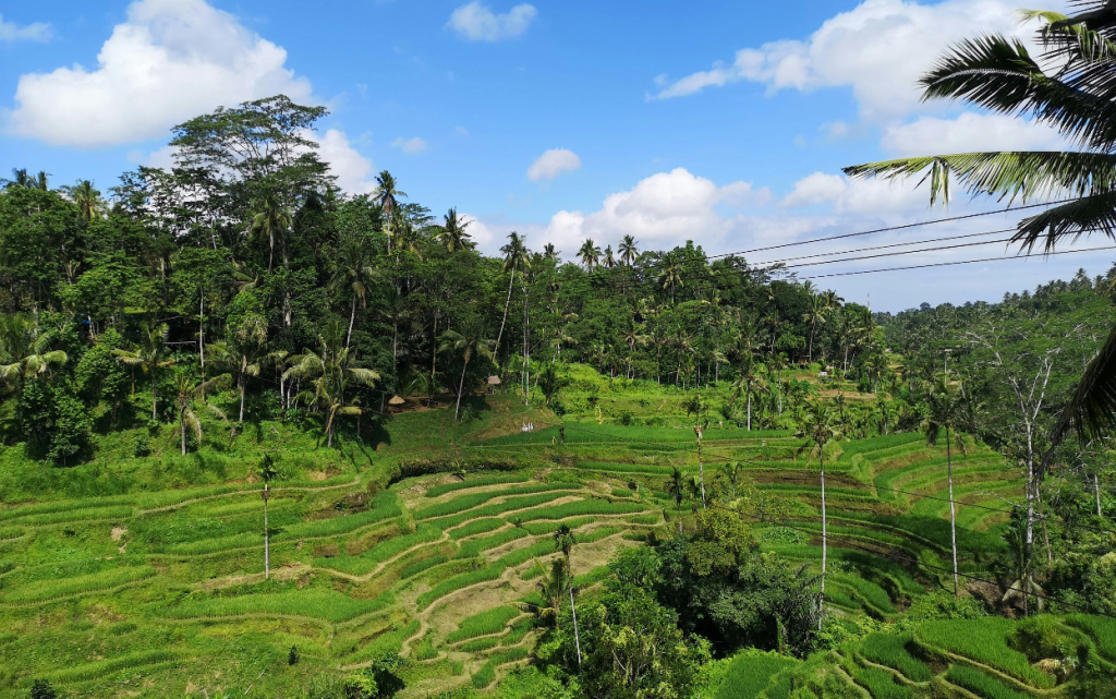 konrad-ziemlewski-E0YJtcVa7d0-unsplash (1).jpg