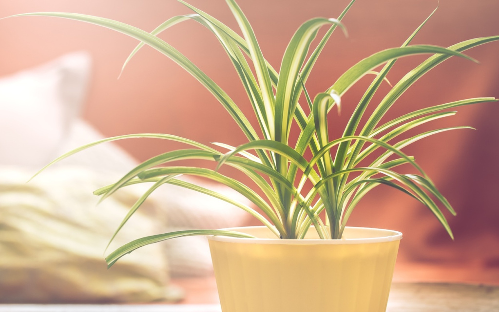 ZCY4wIfbUn51POie1b9e5u6rwAz5jPPgBkAlxotQyqsBIALoJTXqhBKEU23CwhIuRx_AWDvnk1iCSKPxpxDbTipi (1).jpg