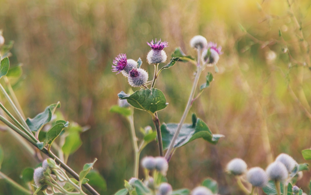 zhsrbl9Q3EyAvTzFVc8oGLZbnTAP213ylbLlKZQyi1iMQmSJObKSOSs1OGVQ_RDEYZ-U0Dcpfuz1QrMJbu-NN3uE (1).jpg