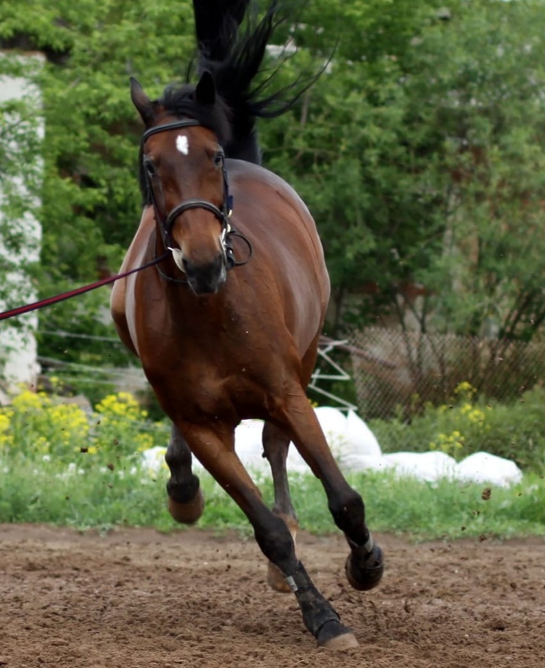 I5KCEyQZzGPRZp4hdYExf0DQQj7r-rOb5zRe3VFD58QhzdjxojnOXPmqkz1MJLdMa9aq7oDs (1).jpg