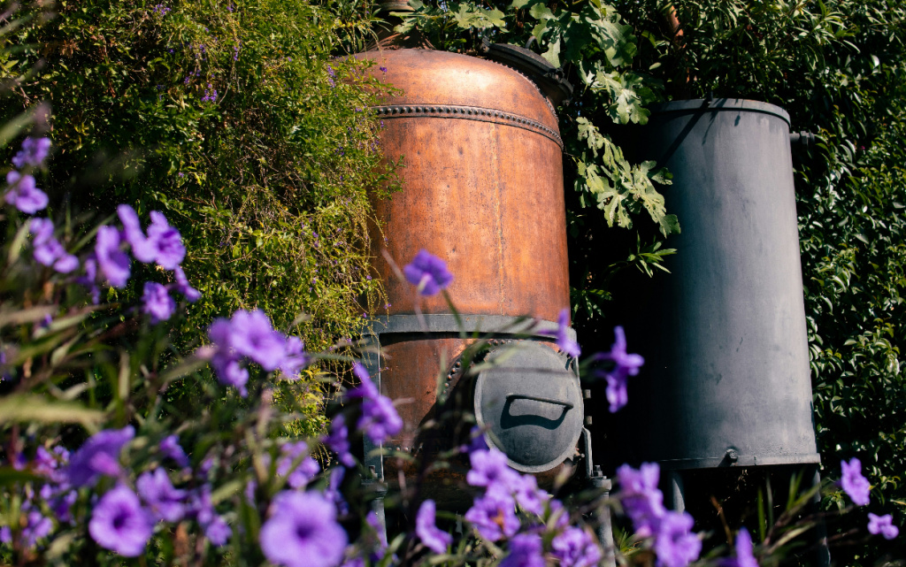 lukas-kurth-0ylgthpaJQg-unsplash (1).jpg