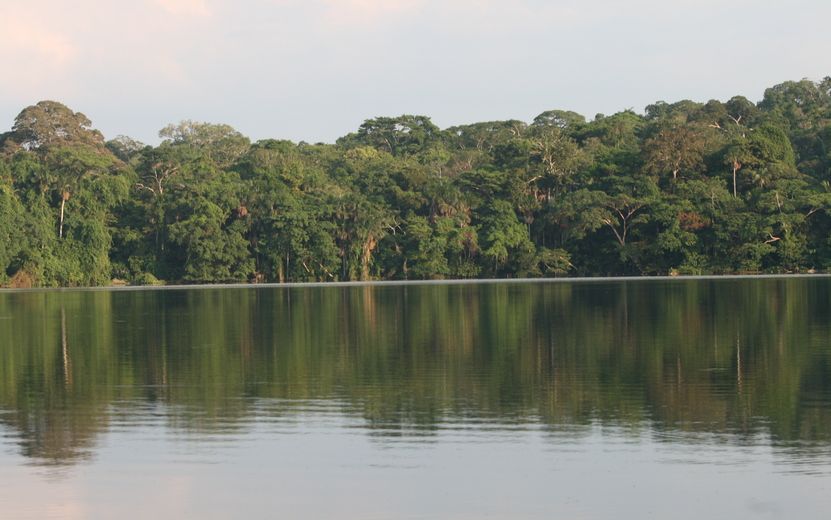 Chalalan_Lake_-_Bolivia.jpg