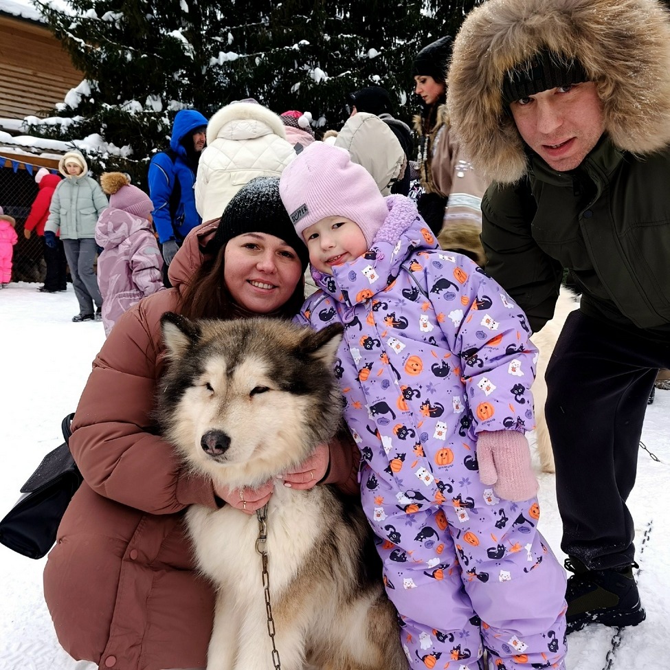 елкпалк2 Евгения Жирнова.jpg