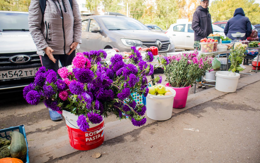 цветы 1 сент иванов 02.jpg