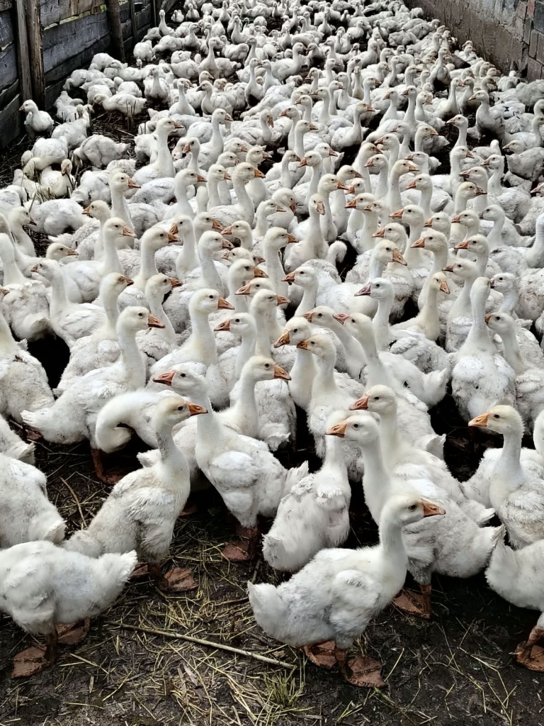 W4my84MmOAPAkP7fPbZxfWQmSdOKjq2lzCj2CkF5UywD6YHzXevGHFkbcFl5kjL2R_iNK0caPbreqn3sJe0QCcqYgtqQ9g.jpg