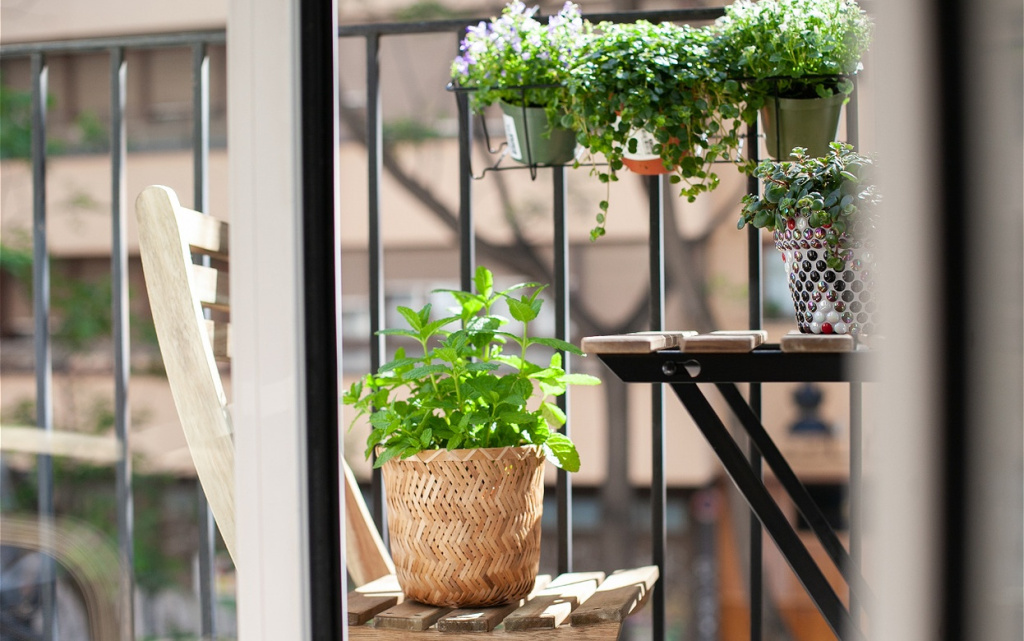 potted-plants-on-balcony-with-outdoor-chair-2026-03-16-22-54-09-utc (1).jpg
