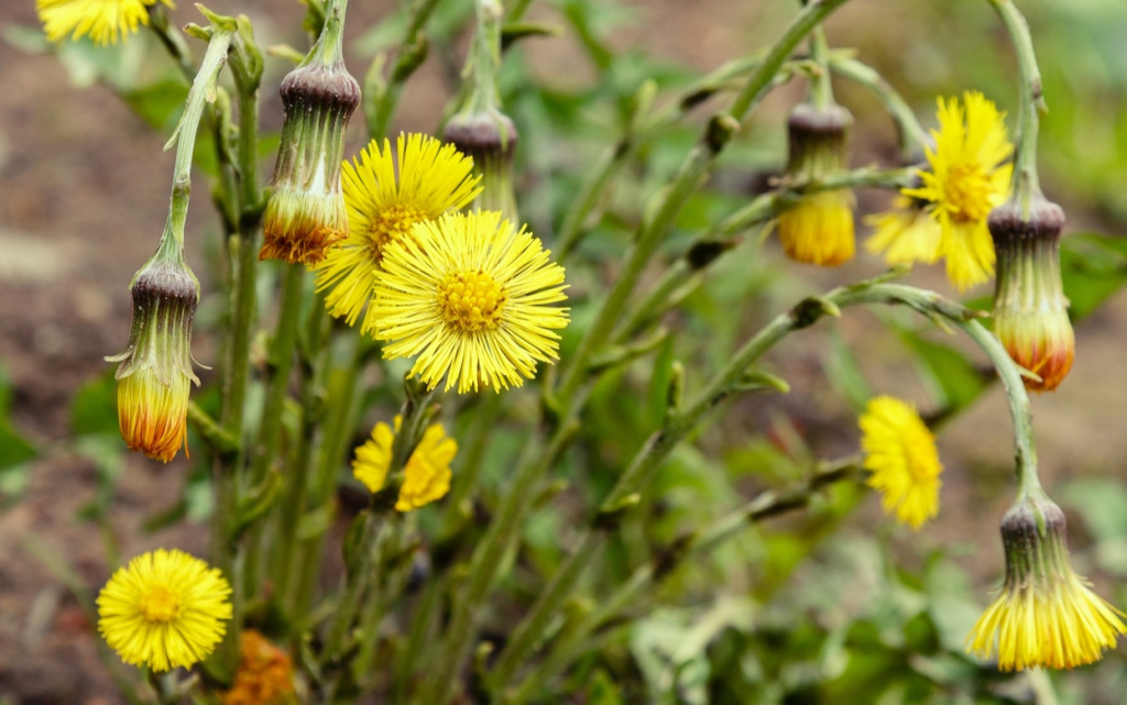 VvO_hUY2khdUw0FmZ4BUfu20rgWi3bmN7m9CJbZSnsKigPTwq83uM_lP9Asf0ol0i8SzMygJQEeidguWd4TvxhrB (1).jpg