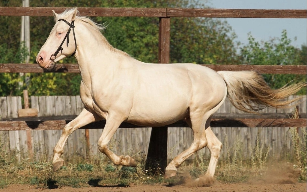 gI50ZIj9mQfbB0Zx5n01TQbGZVnNDJZjaAvC4NMJEsrWTpngxtU98IfdL8G4kroxa2lmeOMlfV5-mtWQg_Vc2_Et (1).jpg