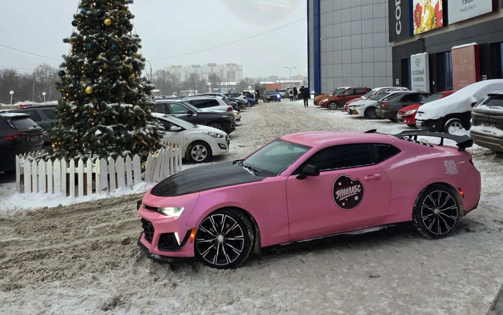 розовое камаро.jpg