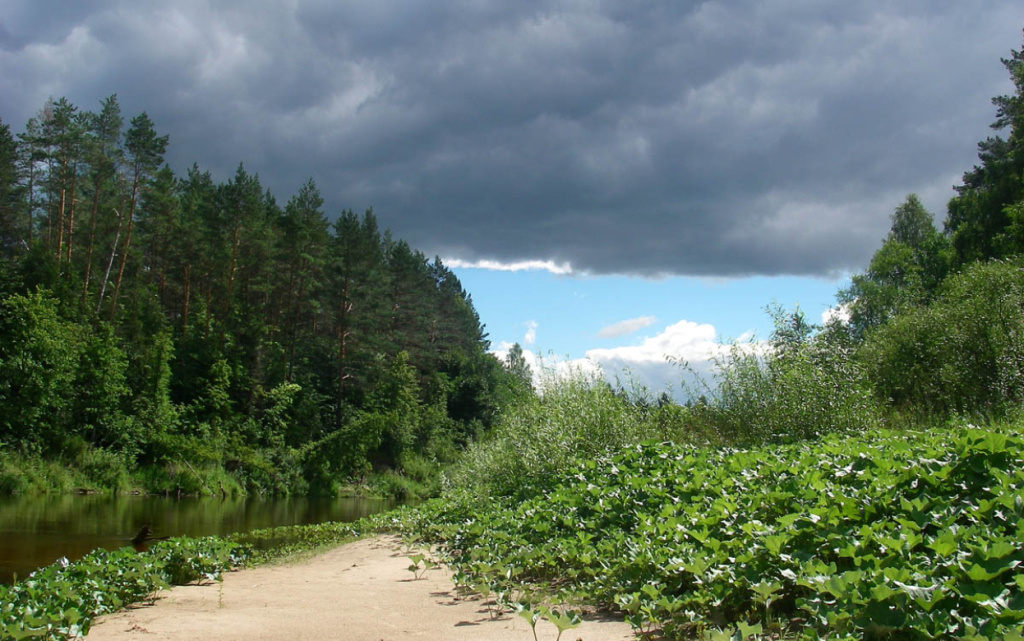 После_грозы (1).jpg