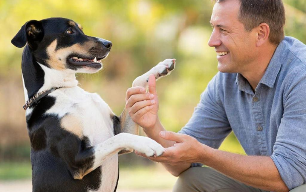 Характер собаки изменяется с возрастом. 