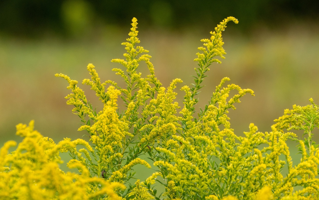 6BG8hgMYyGrULgLuhdKiObZTMi8l-hhkpUGOuGThza75P5sUfIOXYVGhSMp1iQDHsj0I-eQnAhIceX8T0w5iC07i (1).jpg